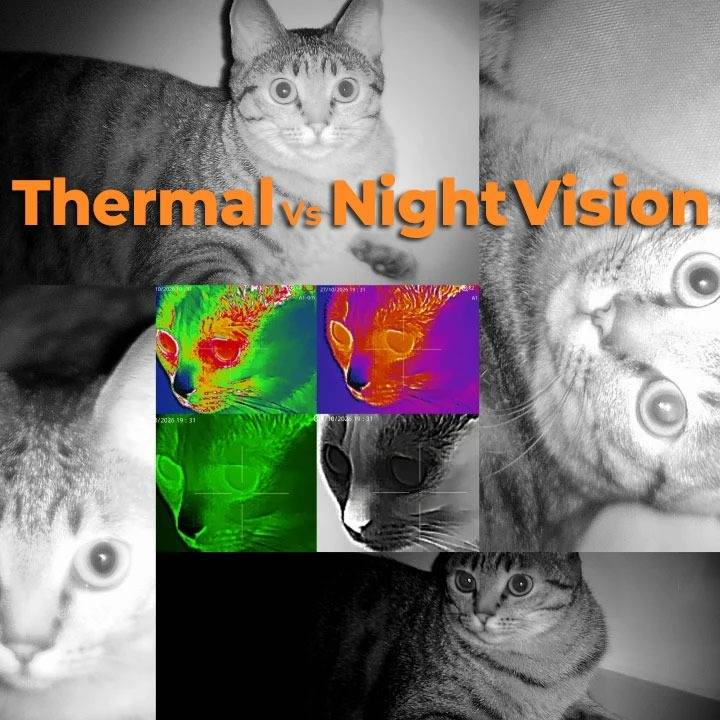 What's The Difference Between Thermal And Night Vision Images?|CIGMAN